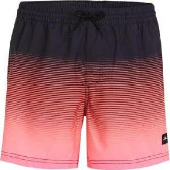 O'Neill Jack's Calli Gradient 15 Men's Swim Shorts with Back Pocket