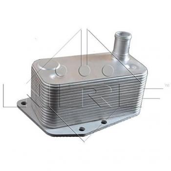 Nrf 31217 Bloque de Motor