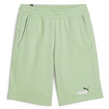 Puma Men's Essential Bicolor Sports Shorts, Pure Green, 10 Length, XXL