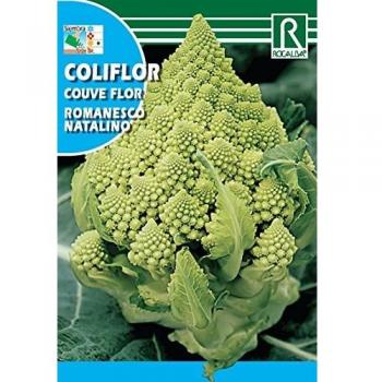 Semilla Coliflor Romanesco natalino - Rocalba