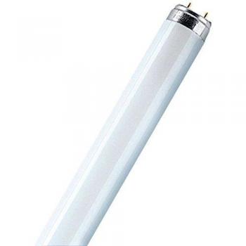 Osram LUMILUX T8 - Lámpara fluorescente, G13L 36 W/840-1