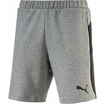 Pantalones casual hombre Puma Evostripe DryVent Shorts
