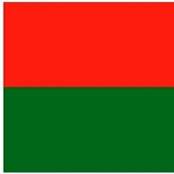 DIPLOMAT-FLAGS Madagascar Bandera | Bandera Paisaje | 0.06m² | 20x30cm Banderas de Coche