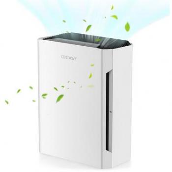 H13 True HEPA Portable Air Purifier with Adjustable Speeds