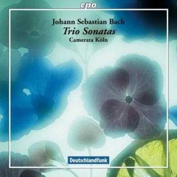 J.S Bach: Trio Sonatas