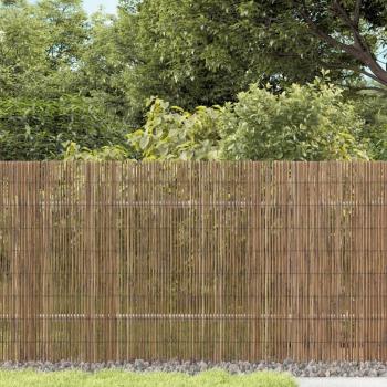 Reed Garden Fence 500x80 cm