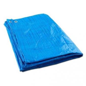 Toldo Reforzado Multiusos Azul 5x8 m