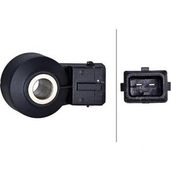 Sensor de detonaciones HELLA 6PG 013 114-371