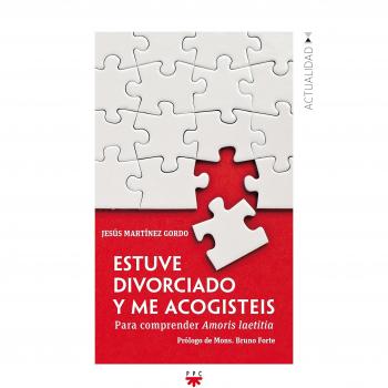 Estuve divorciado y me acogisteis: Para comprender Amoris laetitia: 159