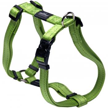 Rogz utilidad grande 3/4-inch Fanbelt reflectante ajustable perro h-harness