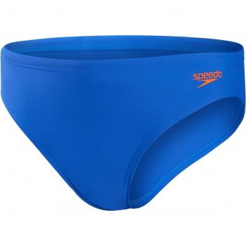 Bañador de niños Speedo Logo 6.5cm Brief Azul (15-16)