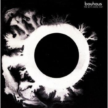 Sky's Gone Out [Vinilo]