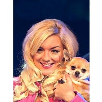 Legally Blonde (24x32 inch, 60x80 cm) Silk Poster Seda Cartel PJ1D-218C