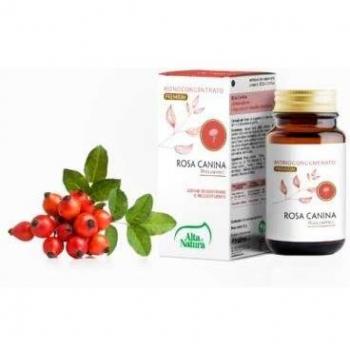 Rosa Canina 60 comprimidos