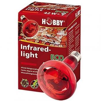 Luz Halógena Infrarroja Eco 28W para Terrarios