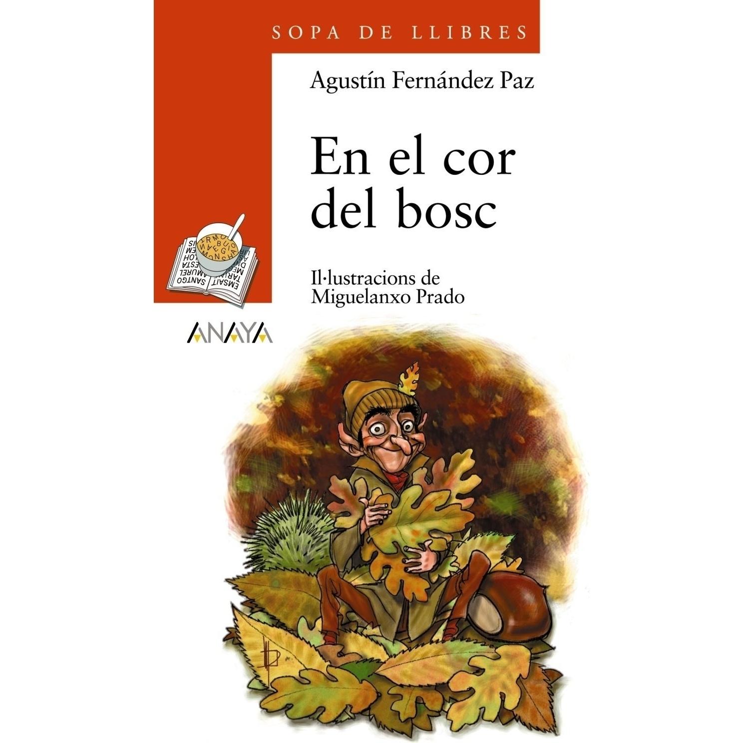 Imagen Principal