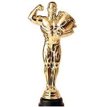 NIAGARA GIOCATTOLI SRL - OSCAR AL MEJOR