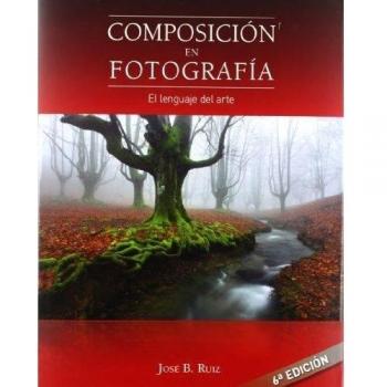 Composición En Fotografía