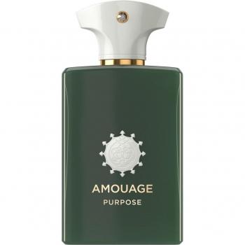 Amouage Purpose Eau De Parfum Spray 100ml Unisex
