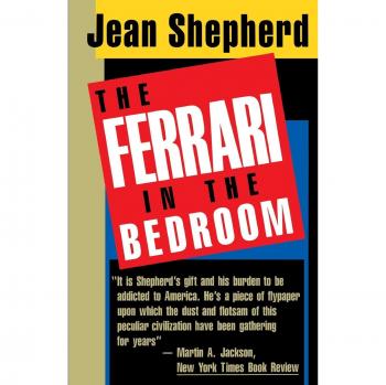 Ferrari in the Bedroom: A Humorous Exploration of Intimacy and Relationships (Paperback Edition)