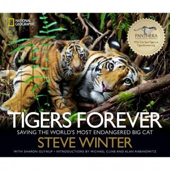 Tigers Forever: Saving the World's Most Endangered Big Cat