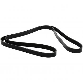 Dayco 6PK2090 correa trapecial poli v