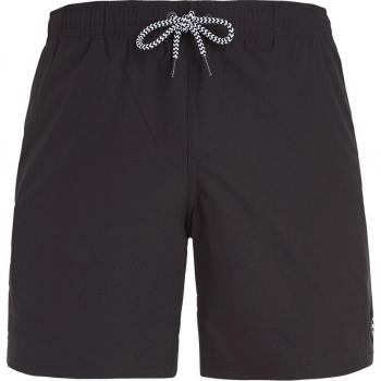 Protest PRTYESSINE Men's Black Beach Shorts