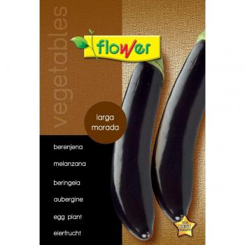 Berenjena larga morada 50504 Flower