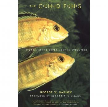 The Cichlid Fishes: Nature's Grand Experiment in Evolution