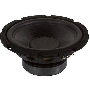 Subwoofer negro para altavoz de 10 pulgadas y 350W