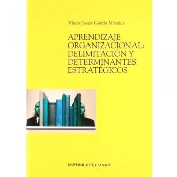 Aprendizaje organizacional: Delimitación y determinantes estratégicos