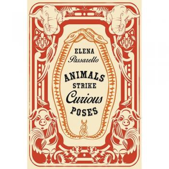 Animals Strike Curious Poses