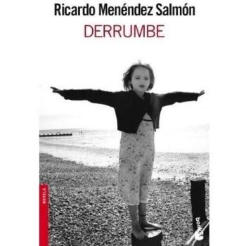 Derrumbe - Ricardo Menendez Salmon