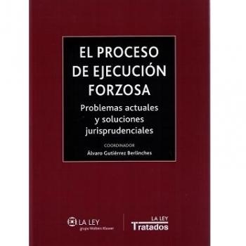 Proceso De Ejecución Forzosa, El. Problemas Actuales Y Soluciones Jurisprudencia