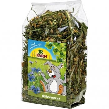 JR Farm Llantén - 500 g