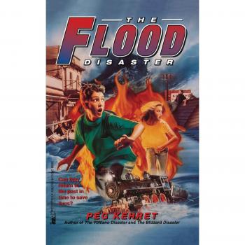 The Flood Disaster: A Gripping Paperback Tale of Survival