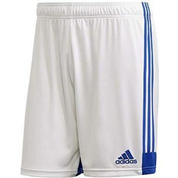 adidas TASTIGO19 SHO Sport Shorts, Hombre, White/Team Royal Blue, 2XL