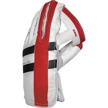 GRAY-NICOLLS Predator 500 críquet deporte protección de las manos Guante de Wicket Keeping, multicolor