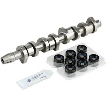 Kit de árbol de levas INA para VW, AUDI y FORD 428 0042 30 - compatible con modelos Golf IV, Golf V, POLO, TOURAN y Passat Variant