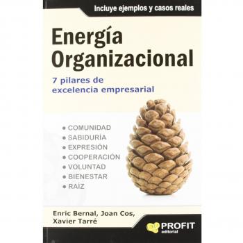 Energía organizacional: 7 pilares de excelencia empresarial