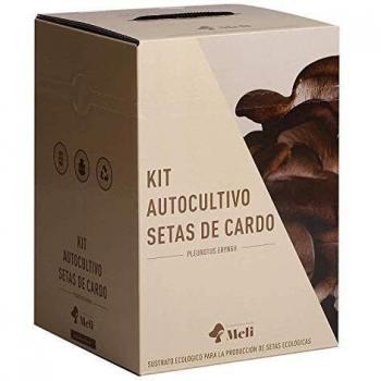 Setas Meli - Kit Autocultivo | Seta de Cardo, Fresca y Ecológica, con Sustrato Rico en Nutrientes, para los Amantes de la Naturaleza y la Cocina | 5 kg