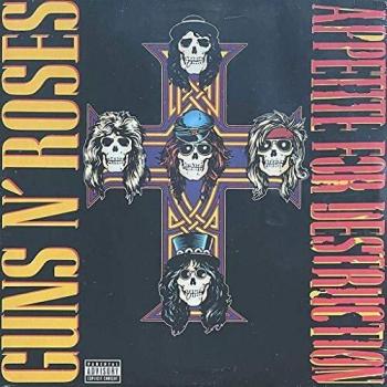 Appetite For Destruction [VINYL]