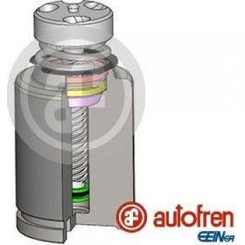 Émbolo para pinza de freno AUTOFREN SEINSA D025583RK