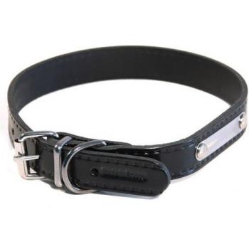 Collar y correa para perro Martin Sellier Rive 25/60 Negro