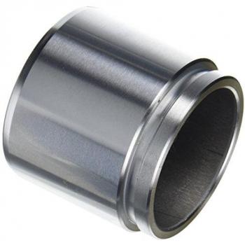 Émbolo de pinza del freno AUTOFREN SEINSA D025535