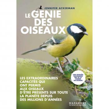 Le génie des oiseaux