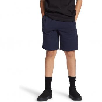 Shorts Deportivos para Niños Riot de DC Shoes