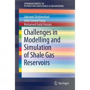 Challenges in Modelling and Simulation of Shale Gas Reservoirs