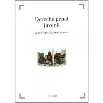 Derecho penal juvenil
