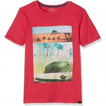 Quiksilver Ssslutegoochoic Camiseta, Niños, Rojo Cardenal, 16 años